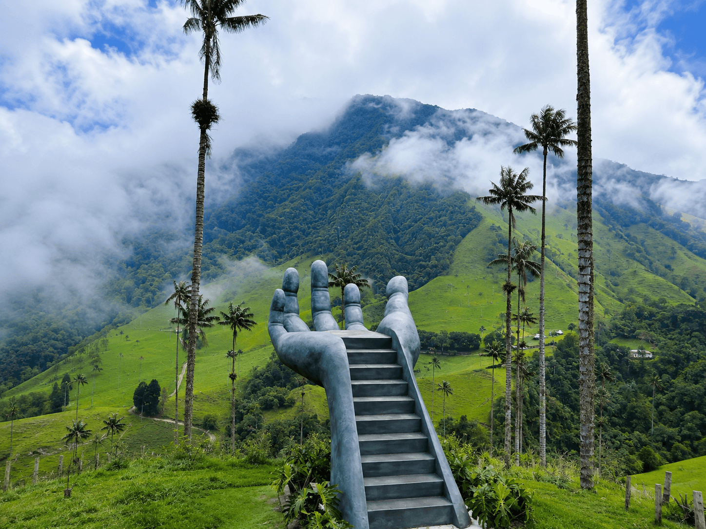 Día 2 — Valle de Cocora, Salento y Filandia