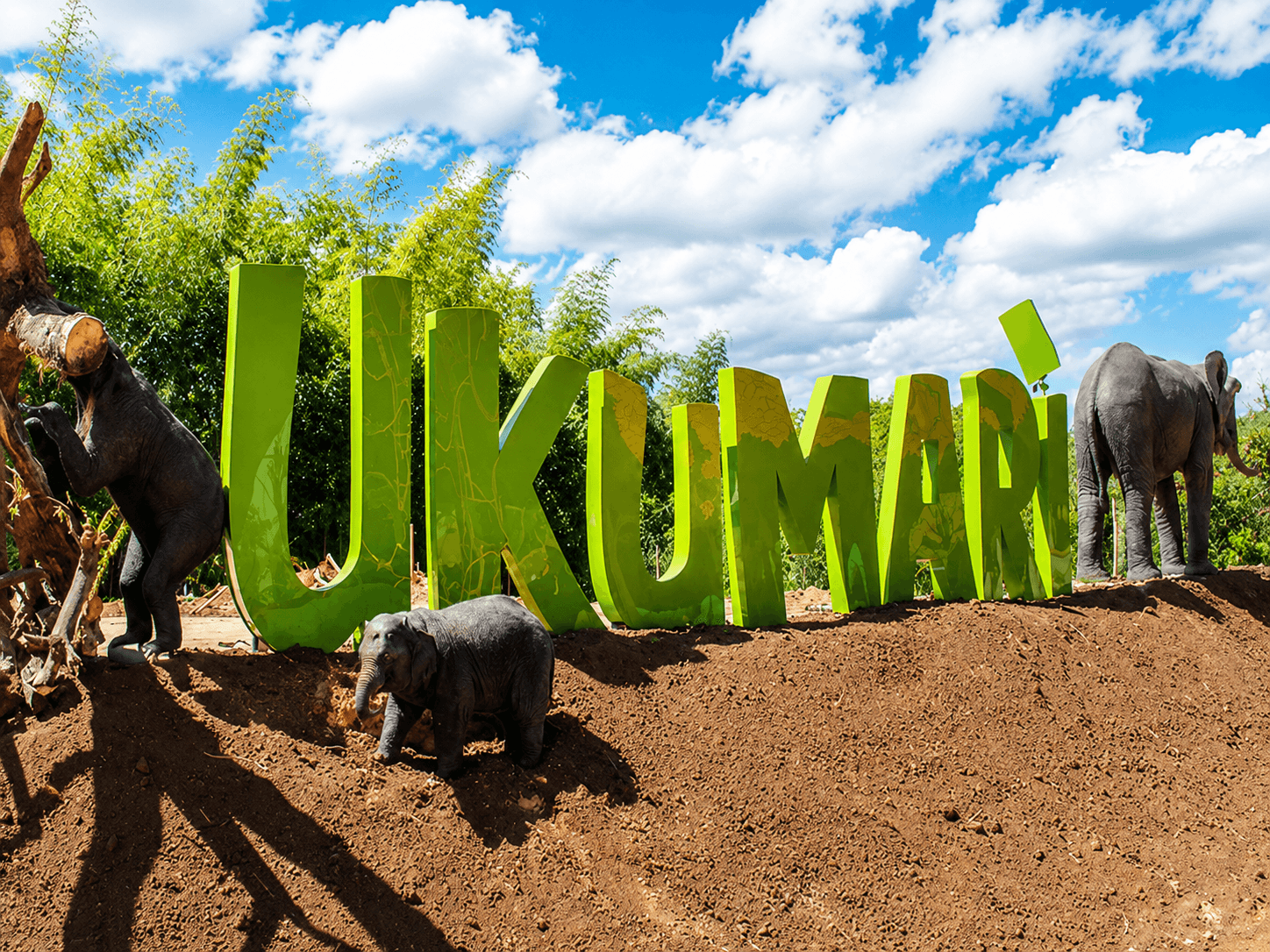 Bioparque Ukumarí