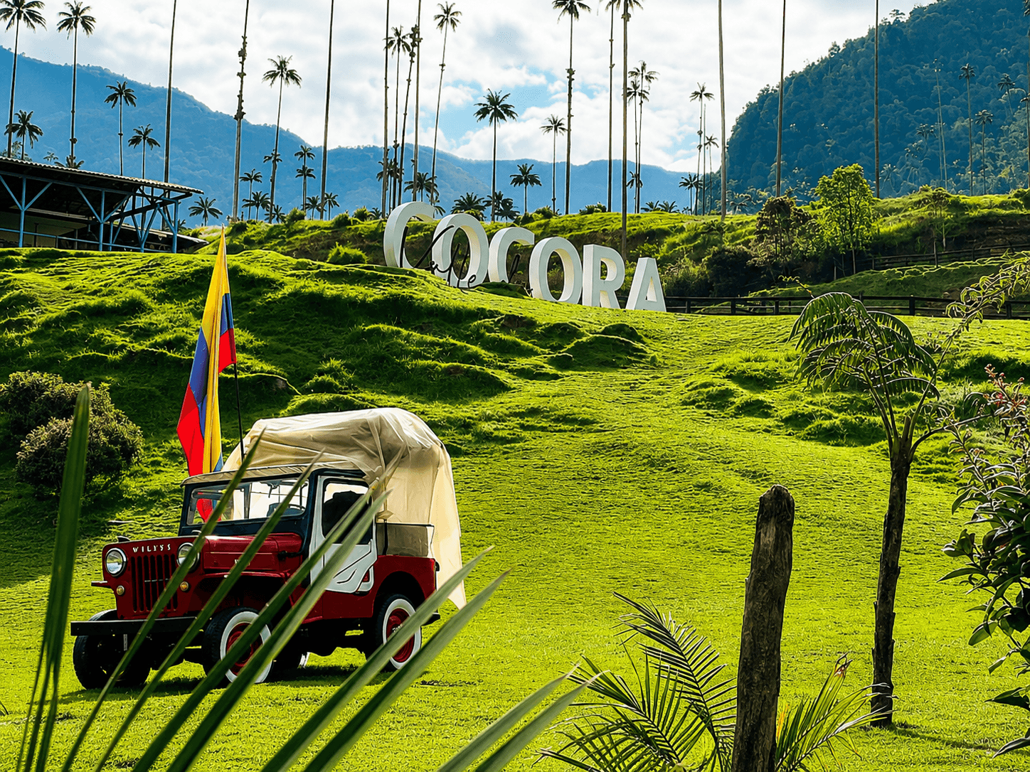 Valle de Cocora