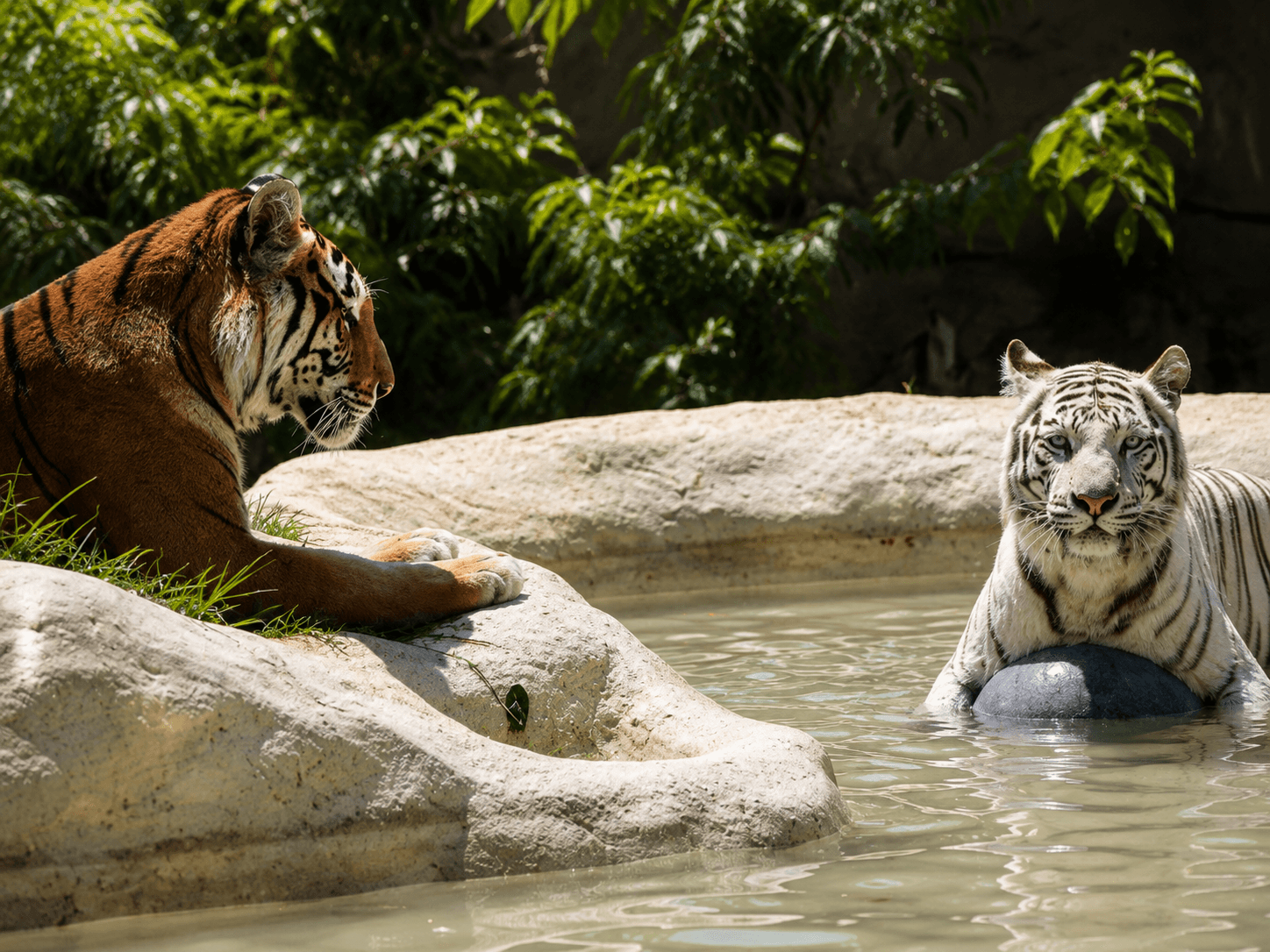 Zoológico de Cali