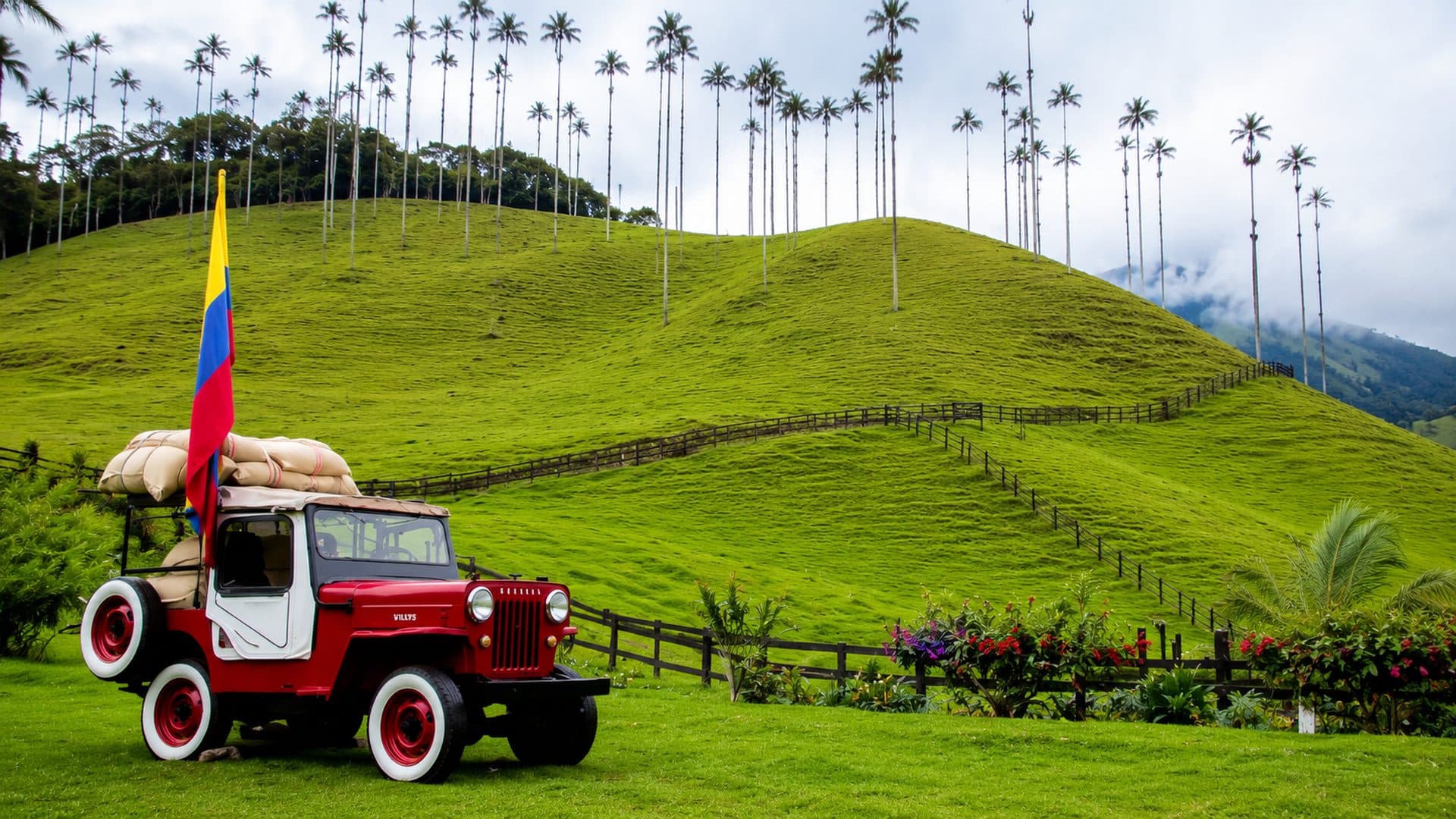 Quindio & Cali
